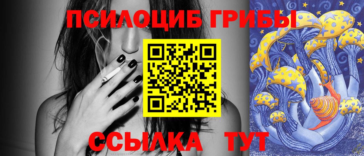 Псилоцибиновые грибы Cubensis Костомукша