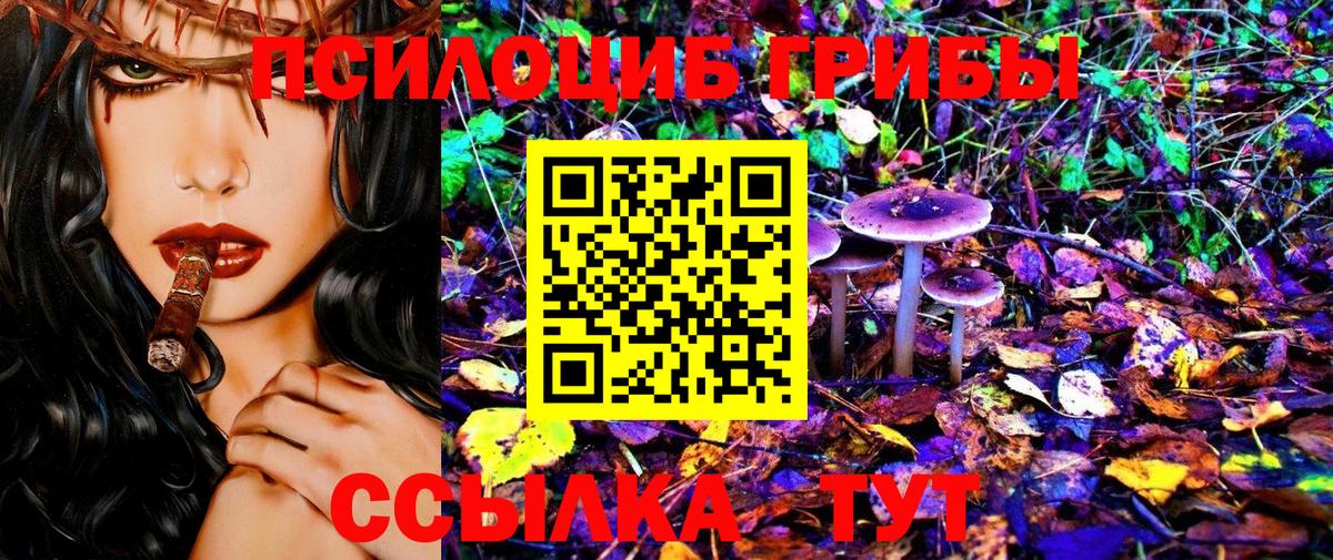 Псилоцибиновые грибы MAGIC MUSHROOMS  Вход с VPN  как найти наркотики  Костомукша 